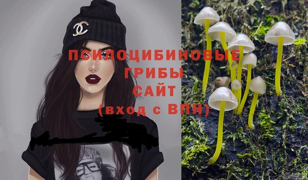 эйфоретик Приозерск